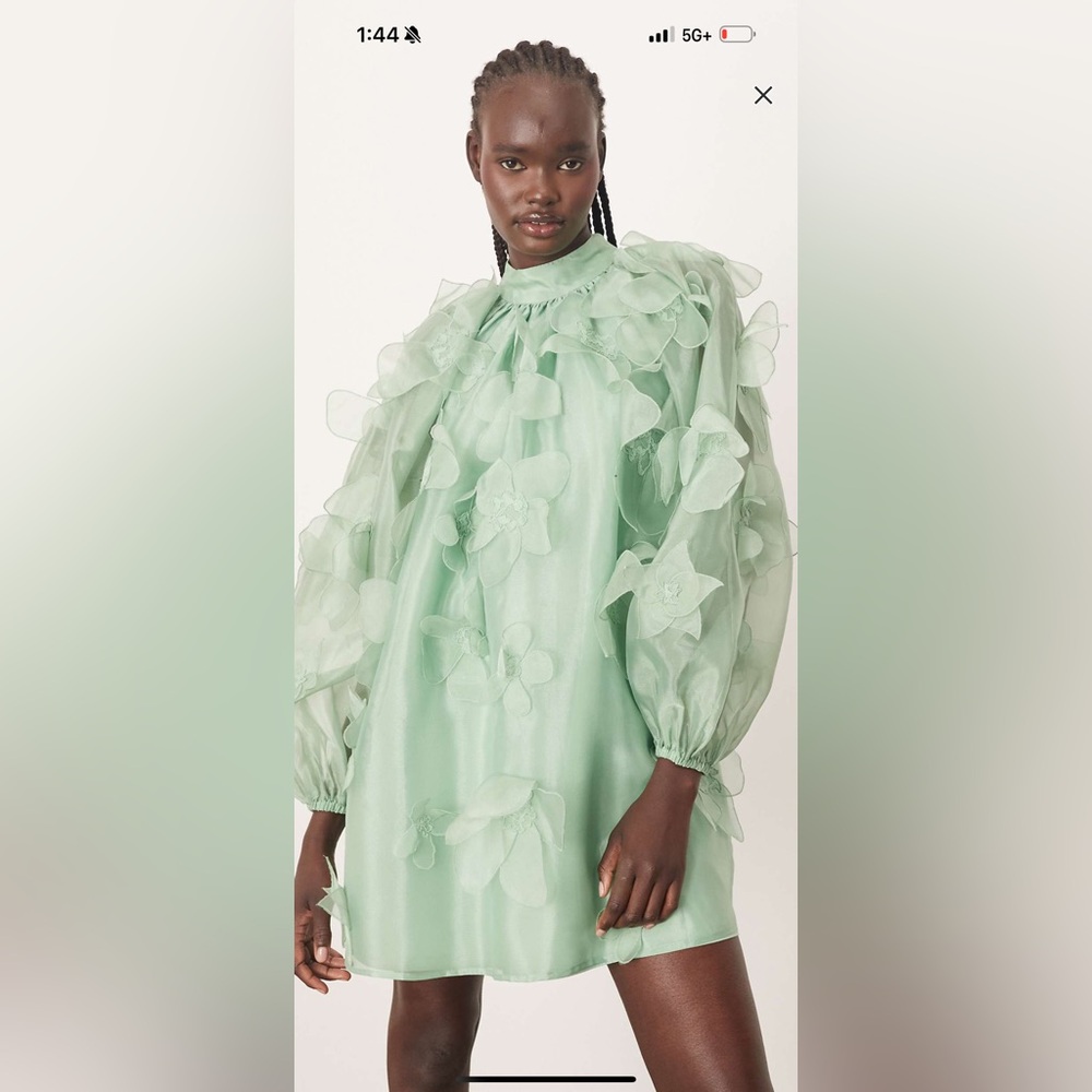 ASOS Organza Appliqué Floral Mini Dress